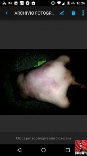 10a9d0482781a1e4f5f100f811