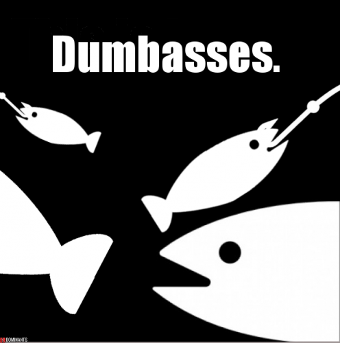 ^1E0858A43AF0700E437E396F9B8F86D4DCE51B0EDB5AA5A88A^pimgpsh_fullsize_distr