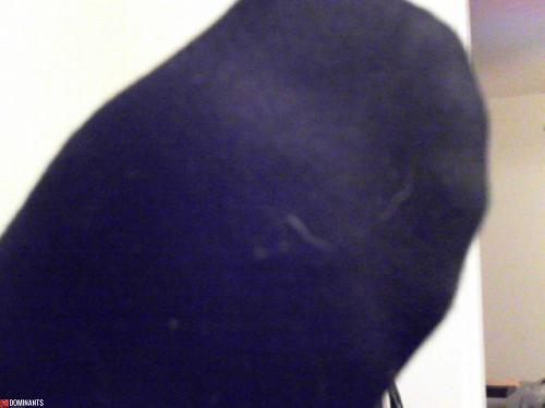 Snapshot_20121104