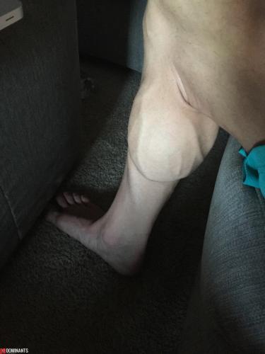 calves