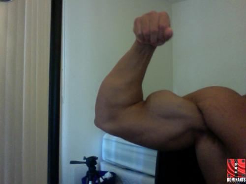 Photo 61