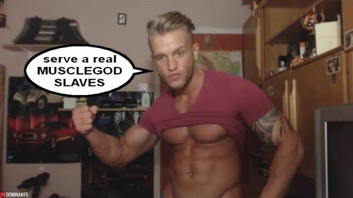 ^F3C206A7B433555E77A035283DE3E532E24418EC8E71FF822D^pimgpsh_fullsize_distr