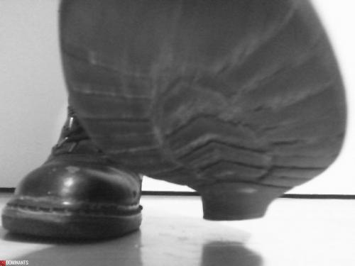 Snapshot_20150814_19