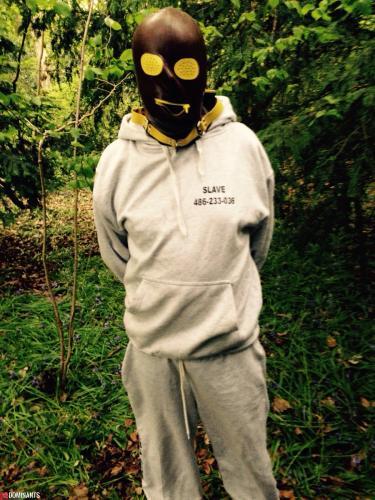 ^1AF00379207935B312322799E2CC8BC80A38AE592E51881CE8^pimgpsh_fullsize_distr