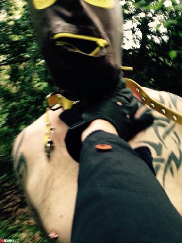 ^C0B80BE41D4A513E8EA9F3B2587579302DB1C21804B6D21C0E^pimgpsh_fullsize_distr