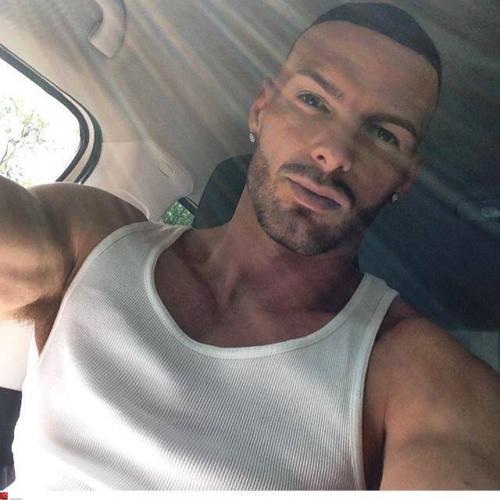 1795614_375152005977046_5528169103238663519_n