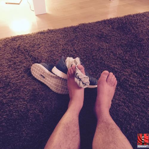 ^3849139FCAD1C18B49BB0CEEB1AAE94D07DB65AA2C063A4DFE^pimgpsh_fullsize_distr