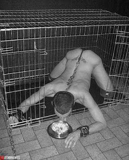 10397978_1478378542403116_8185014365329810167_n