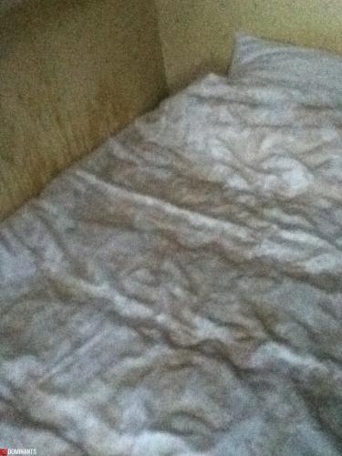 131221 White pissed quilt cover