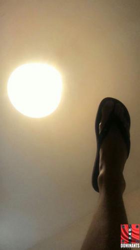 ^E6DA6171C62B68711ACD69A92CA971133D03EEAB601AD50DBC^pimgpsh_fullsize_distr