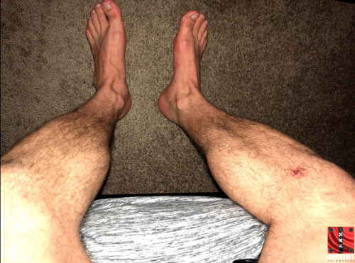 Screen Shot 2018-02-23 at 9.08.07 PM