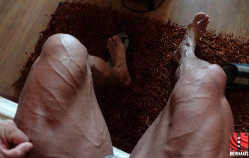 1743602_1545146799038823_4387659728340451707_n