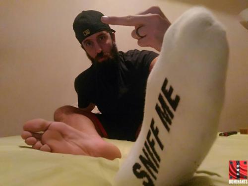 ^9013F31D7F7B0635DE438BAA8546FC6E3ED7A5FDB9D003816F^pimgpsh_fullsize_distr