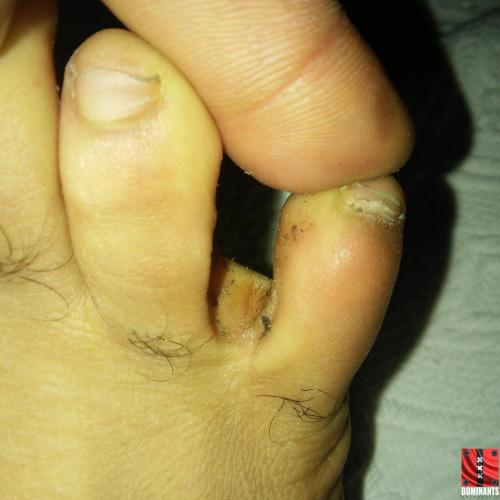 12510529_926678647408519_747500979_o