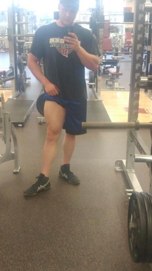 Tree Trunks