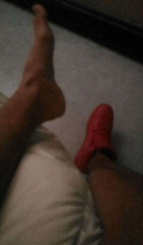 scv_15356254574661912545494