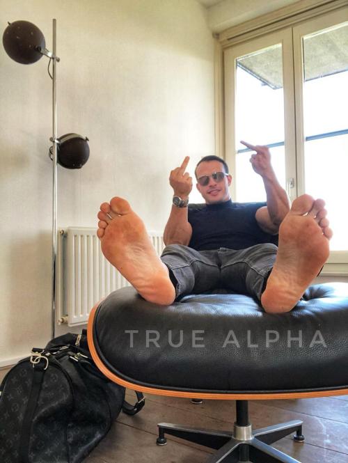 52944740-1c2d-4a55-bffa-262aa6983662