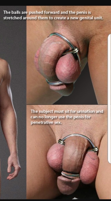 Screenshot_20181129-131352_Chrome