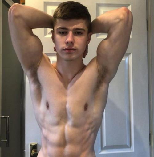 taylor