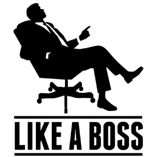 Like-A-Boss_6165401