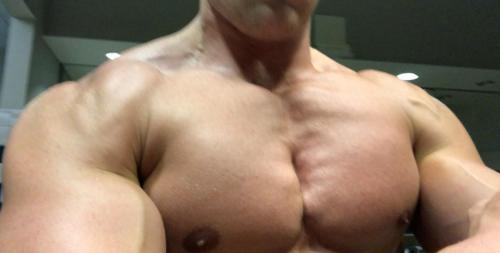 imgpsh_fullsize_anim (1)