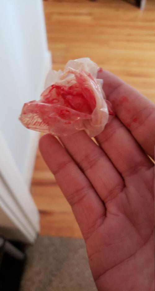 scv_15614006645966543309237068885848