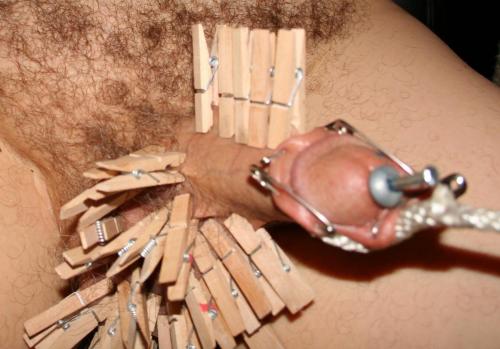 Step 3 - add more clothes pins