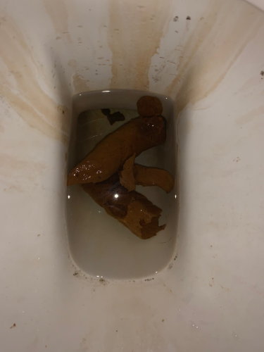 Serbian Alfa shit