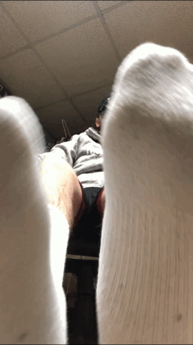 Sniff up Piggies