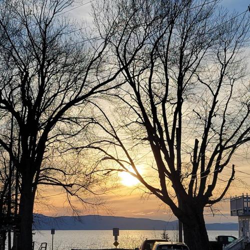 IMG_20210327_190743_156