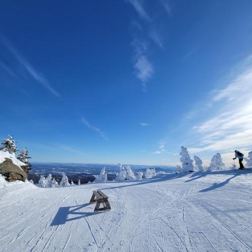 IMG_20210202_184219_827