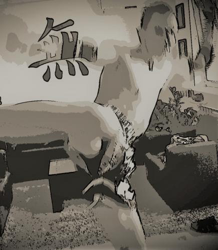 13048159_10209093623915717_9147383772425339839_o