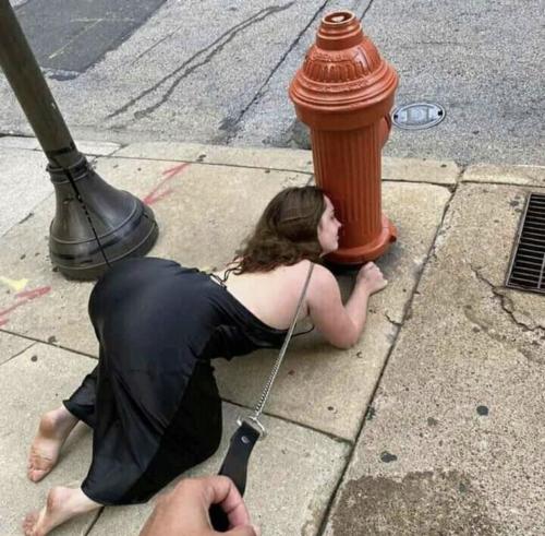 82070AC9-260C-42CB-AEB0-F8EB65542715