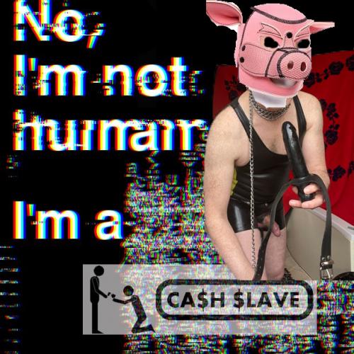 39d9d29012577430704cd4b31f6f6cc88