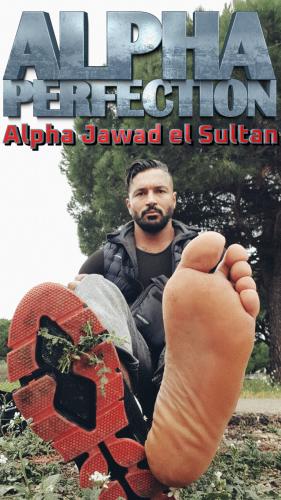 Alpha Jawad el Sultan