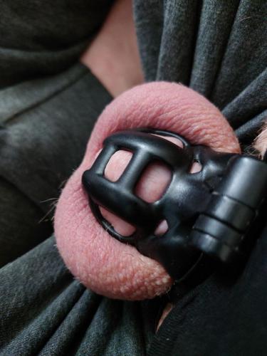 .trashed-1669296256-2e916a6f-df9f-4bf7-8510-5161c049e5db