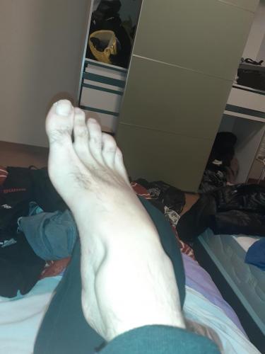 16679466910041918526536241544119