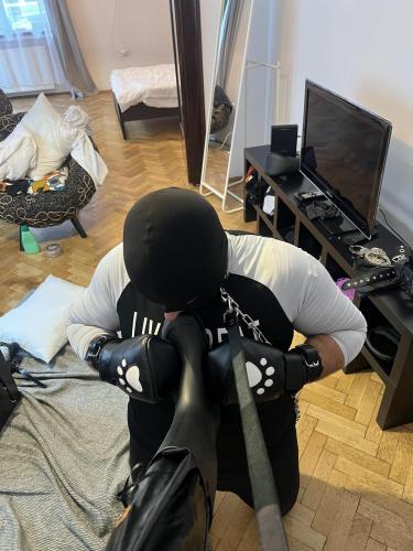 22C82B75-3646-4144-8307-2AE27B92EF88