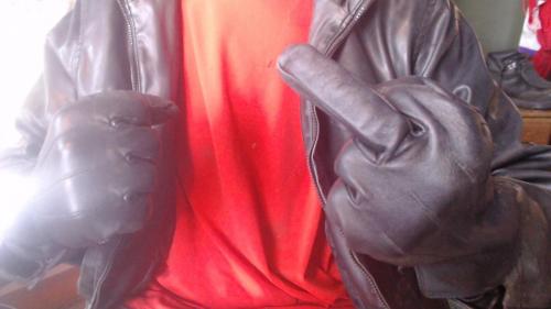 WIN_20230208_15_02_45_Pro