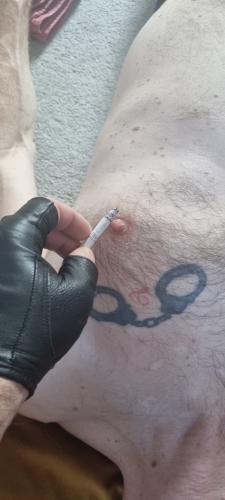 WhatsApp Image 2026-02-25 at 18.55.33