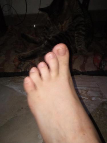 6abfe563-d4d2-4b9f-b1a1-98ff6fc0e7d5-1_all_383