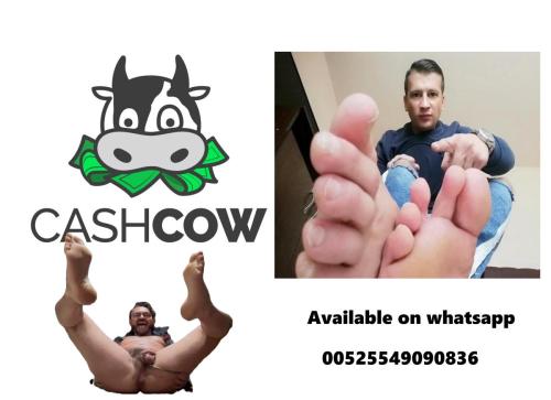 COW8_n