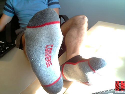 5531ec87ab4493438f1e0d7eef297a80_500