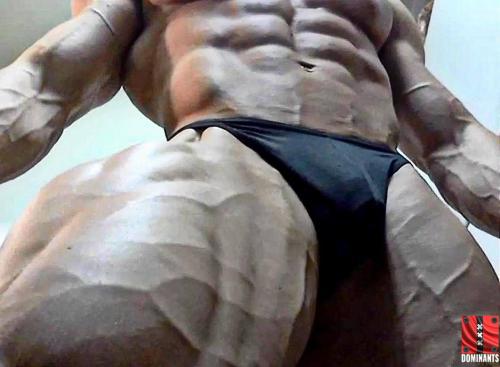 1235247_343171412486811_461340767_n