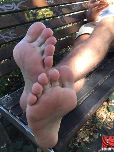 14593343_1441734582510663_656673770_n