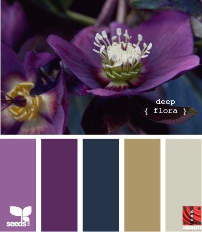 Purple-and-Gold-Color-Palette