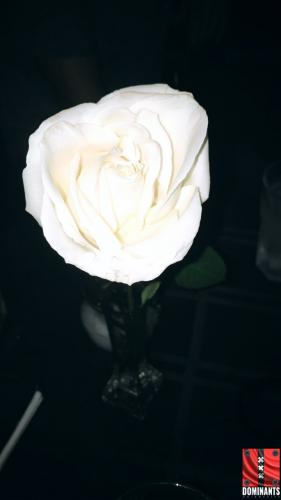 September 22, 2017