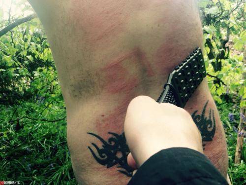 ^6480B7D8C9CFB8A75396B1555086FDEAA7CA45BD2ADC199DAC^pimgpsh_fullsize_distr