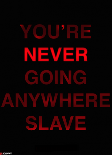 52194632d597a9816b1c9288985f51ec_500
