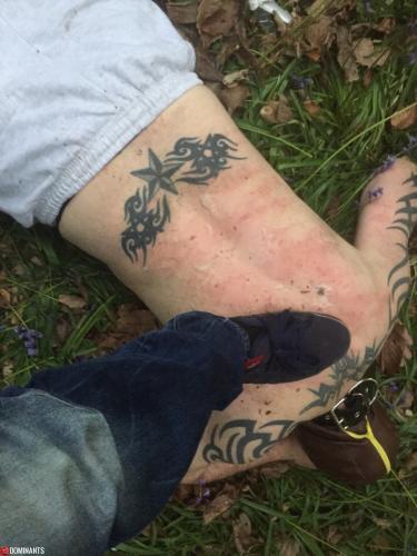 ^FD6EE7340697F1635A20D7E24DF57DA244229E9269440F7343^pimgpsh_fullsize_distr